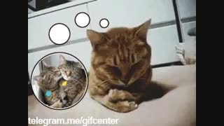 من از یادت نمی کاهم تو را من چشم در راهم بچه ها برای اقا مهدی دعا کنید!