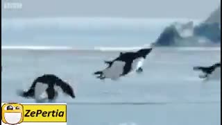 بدو بیا توضیحات جک دارم برات