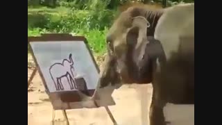 شب بخیرررررررررررر