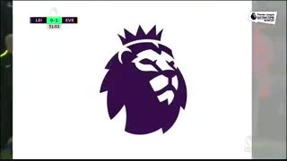 خلاصه بازی:  لسترسیتی  0 - 2  اورتون