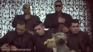 شما خونتون مورچه داره؟