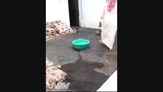 فقط خواستم بخندونمتون!!!!!