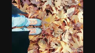 جوااااب پلیییییز