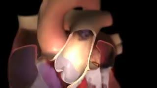 ویدیویی  ازمکانیسم عمل قلب