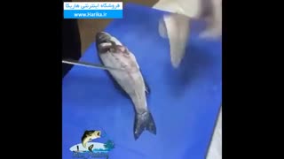 ماهی خوشمزه