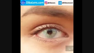 لنز ایلوژن گرین دایموند2| DibaLens.com- Green Diamond