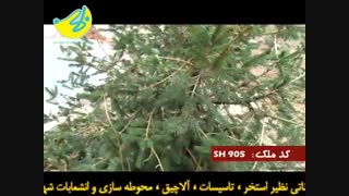 باغ ویلا سنددار در شهریار