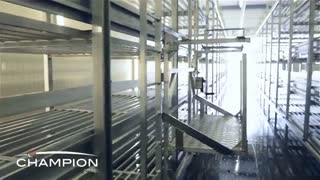 قفسه بندی آلومینیومی سالن های پرورش قارچ