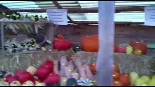 خرید در کشور دگیر