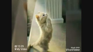 بیاین توضیحات