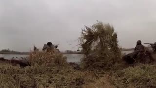 شکار دسته جمعی مرغابی و خوتکا