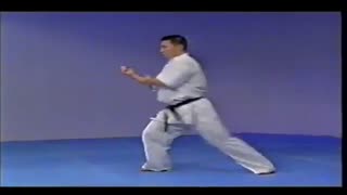 پینانسونو گو