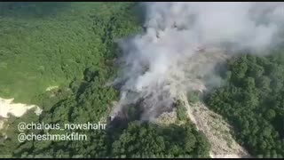 جنگل در آتش