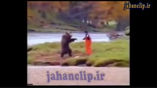 نبرد وحشتناک خرس گریزلی و انسان