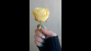 گل باغمون خیلی اوجمله من نکندم خودش افتاده بود رو زمین :)