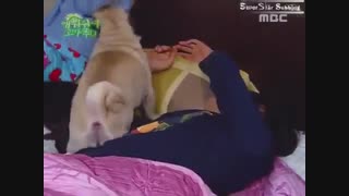 ممنون ازخواب بیدارم کردی+زیرنویس پارسی2-3