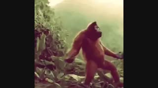 من اگه فردا ایشالله زنده باشم با این روحیع بر می گردم برام دعا کنید!