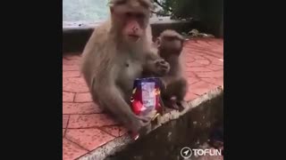 گناه داره خو بچشه هم دلش می خواد