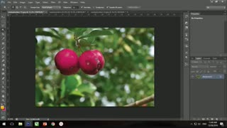 آموزش ویدئویی فتوشاپ فصل پنجم