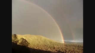 مرده خودشو کشت!!!!!!!!!!!