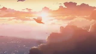 Funniest AMV You'll Ever See — BakaOppai