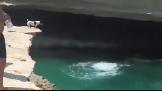 سگه هم دلش خواست