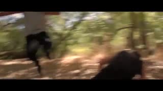 فیلم ناروتو _ مبارزه 2انبو __ full HD