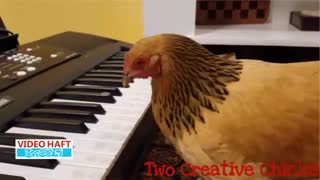 مرغ نوازنده