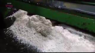 استفاده از چربی خوک درمحصولات خارجی!