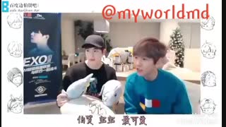 چینی حرف زدن بکهیون