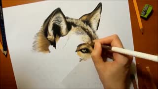 تایم لپس دیدنی از طراحی گرگ !