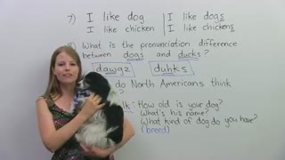 درس 1114 - مجموعه آموزش زبان انگلیسی EngVid