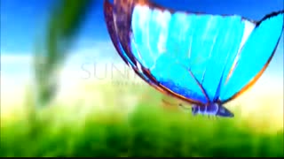 تیزر تبلیغاتی Sun Mix - 44