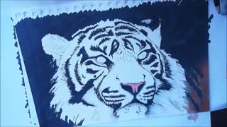 تایم لپس دیدنی از طراحی ببر !