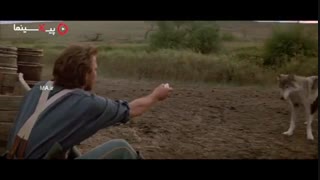 سکانس آشنایی کوین کاسنر با گرگ در فیلم رقصنده با گرگ(Dances with Wolves,1990)