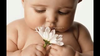 چالش رفیقم(ساحل ژونم)