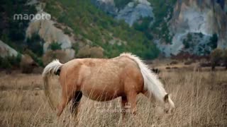 جهشی در علم قسمت 05 - آیا اقیانوس‌ها فکر می‌کنند؟