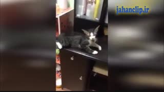 انگار نون نخورده