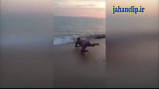 به این میگن شیرجه
