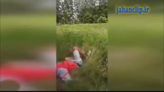 شانس آورد قطع نخاع نشد