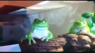 میگم بهم دس نزن چرا نمیفهمی؟