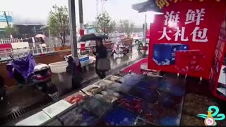 آموزش آشپزی بهترین غذاهای چینی