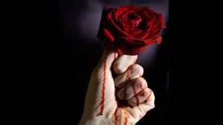 تب عشق - تقدیم به تمام عاشقان دل شکسته