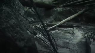 چگونه دایناسورها منقرض شدند!