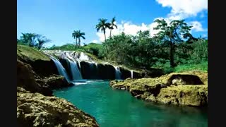 بوی جوی مولیان