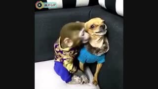 وقتی کسی جنبه محبت را ندارداز کانال ادم وحوا5