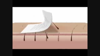 تفاوت رو ش های مختلف اصلاح موی بدن