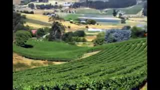 محاجرت به استرالیا