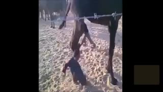 واقعا خنده دار و کرکر خنده