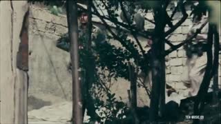 فیلم سینمایی ایستاده در غبار